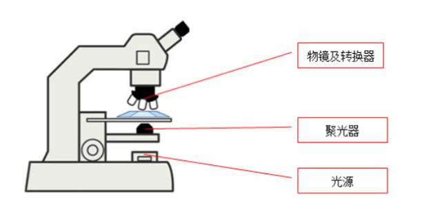 鹵素?zé)艄庠? alt=