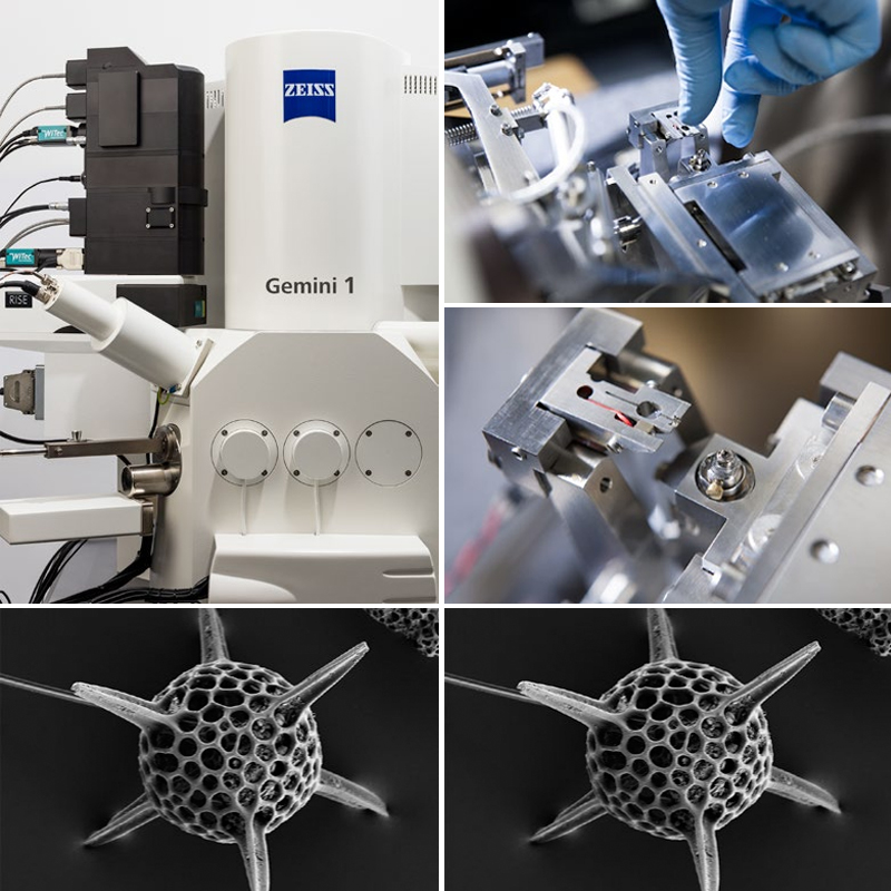 場發射掃描電鏡