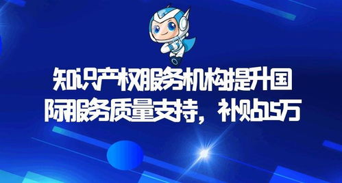 知識產權服務機構提升國際服務質量支持項目資金申報指南 15萬元補貼助力企業走向世界